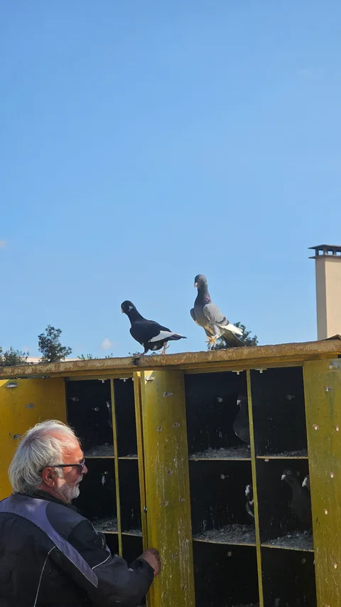 Tarsus, Tekke