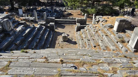 Priene Ören Yeri