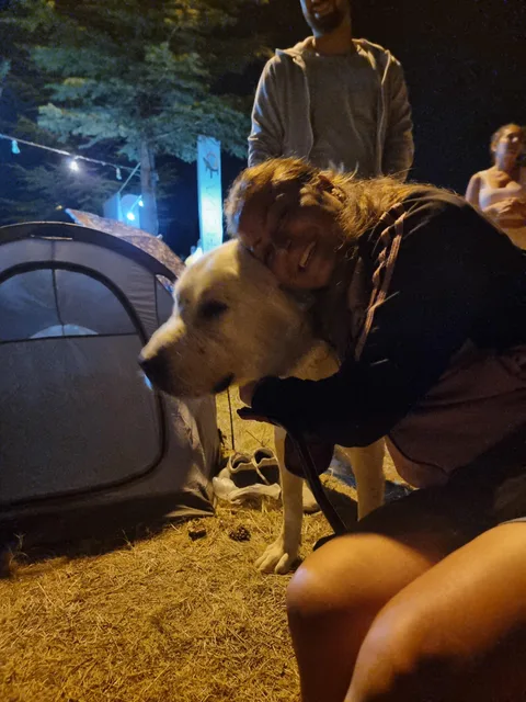 THK İnönü Havacılık Eğitim Merkezi Başkanlığı