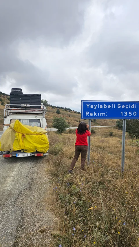 Zile, Yaylayolu