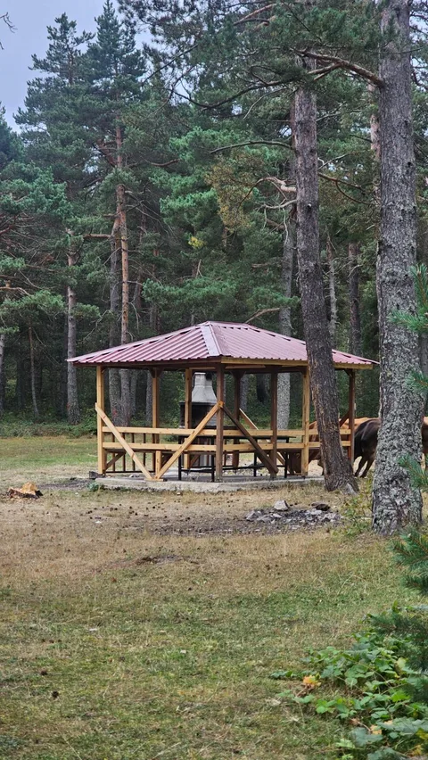 Başçiftlik, Dağüstü