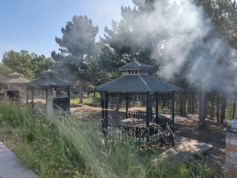Çamlık Tabiat Alanı