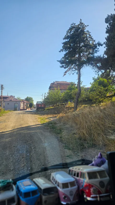Havza, 19 Mayıs