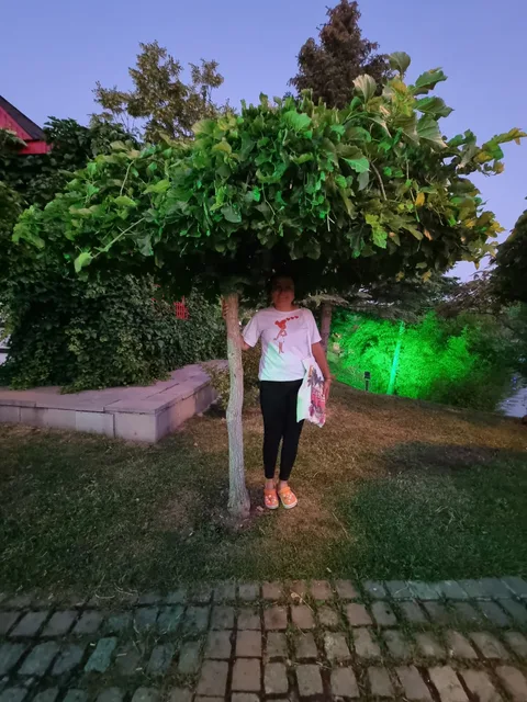 Altınpark