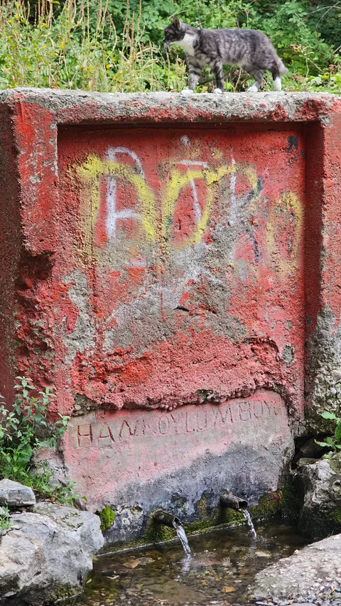 Tunceli, Tunceli Merkez