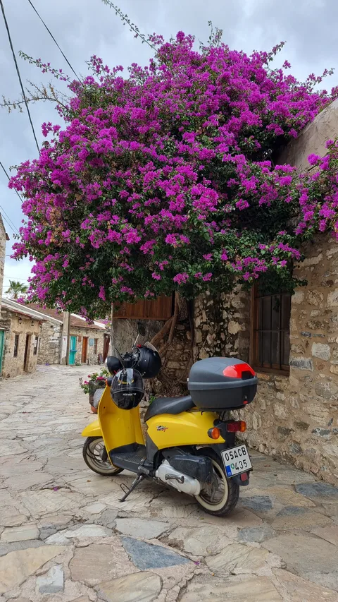 Eski Datça Mahallesi
