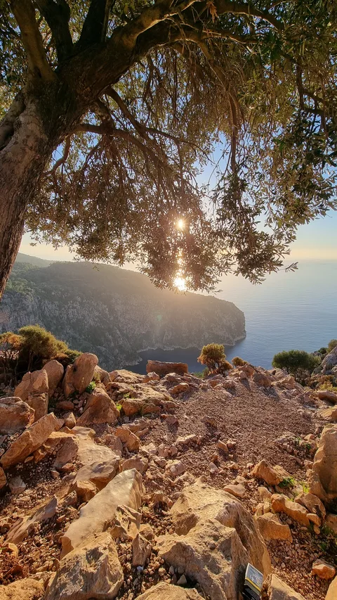 Fethiye, Faralya