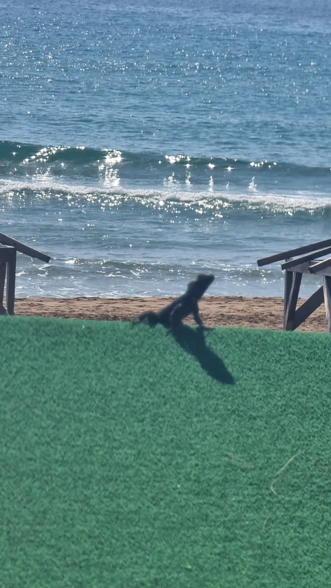 Alanya, İncekum