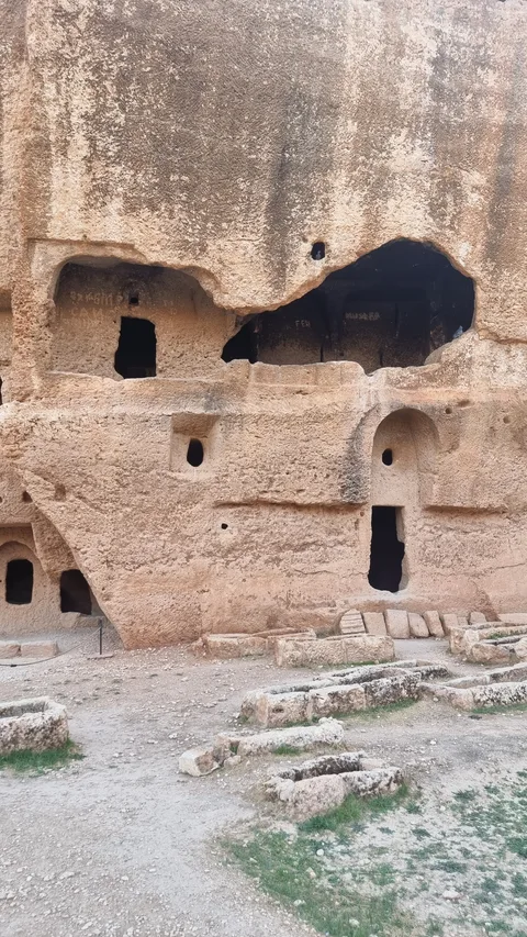 Artuklu, Oğuz