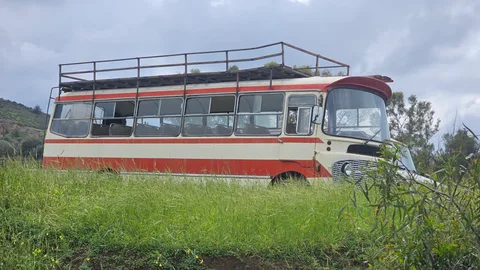 Çamlıköy