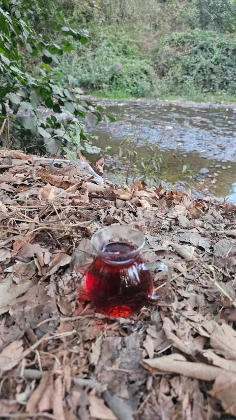 Karasu Maden Deresi