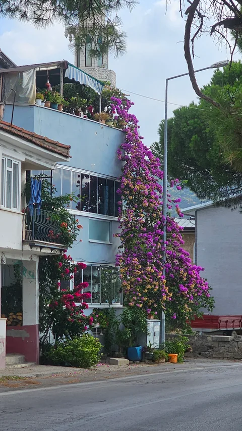 Bursa Gemlik