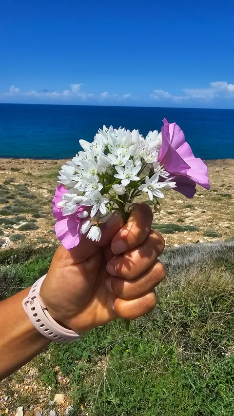 Tatlısu