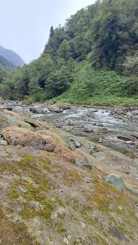 Arhaviden Mençuna Şelalesi Yolu