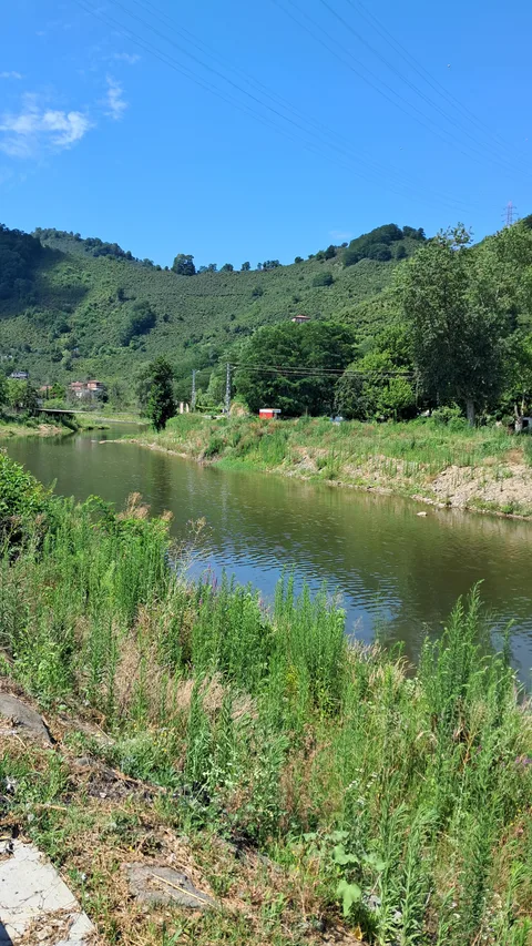 Gülyalı, Turnasuyu
