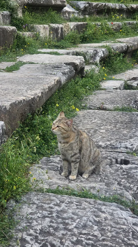 Sultanhisar, Eskihisar