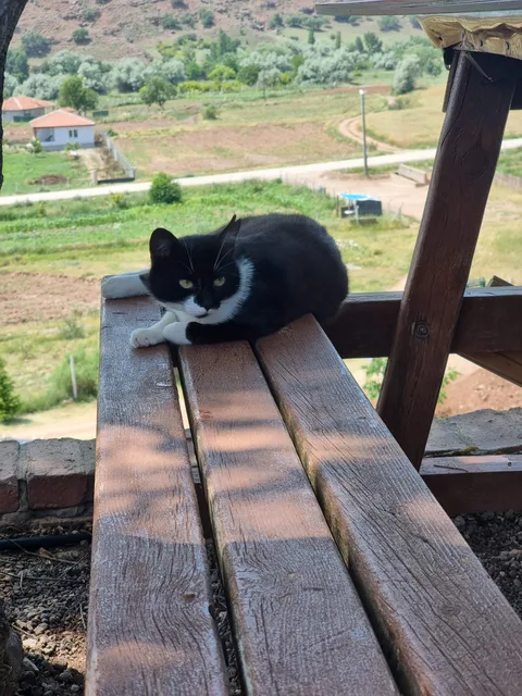 Sulakyurt