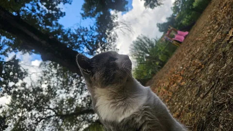 Karacabey, Boğazköy