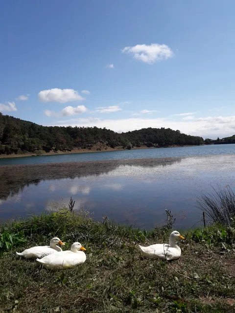 Borabay gölü