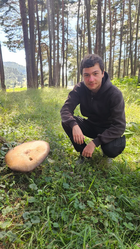 Niksar, Geritköyü