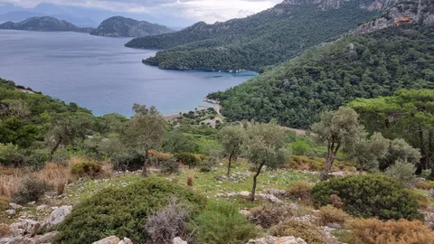 Dalaman, Kırcagedir