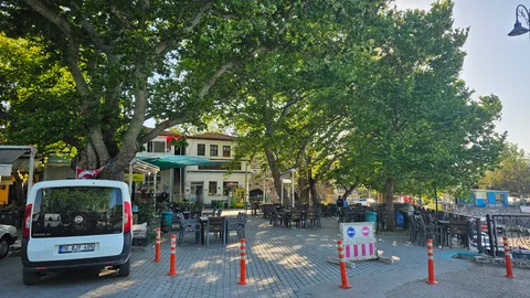 Ağlayan Çınar