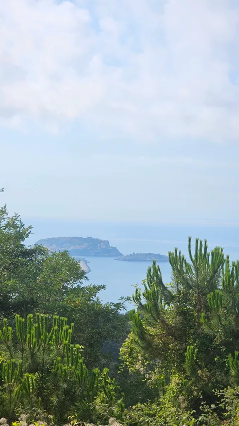 Amasra, Ahatlar