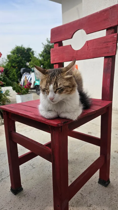 Muğla Köyceğiz