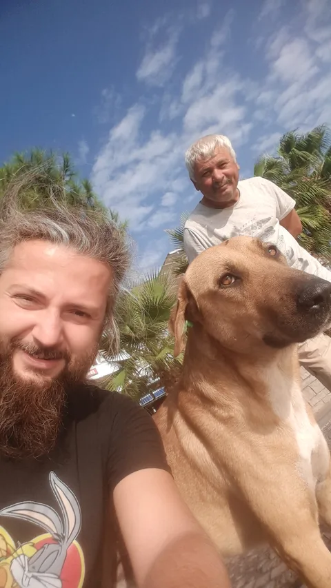 Zeytinli Kuyu Plajı