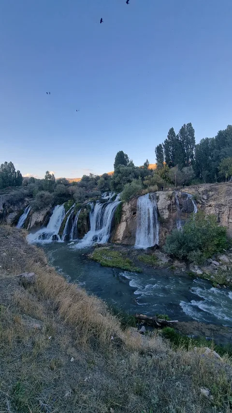 Muradiye, Görecek