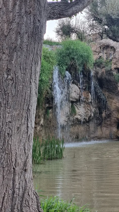 Muradiye, Görecek
