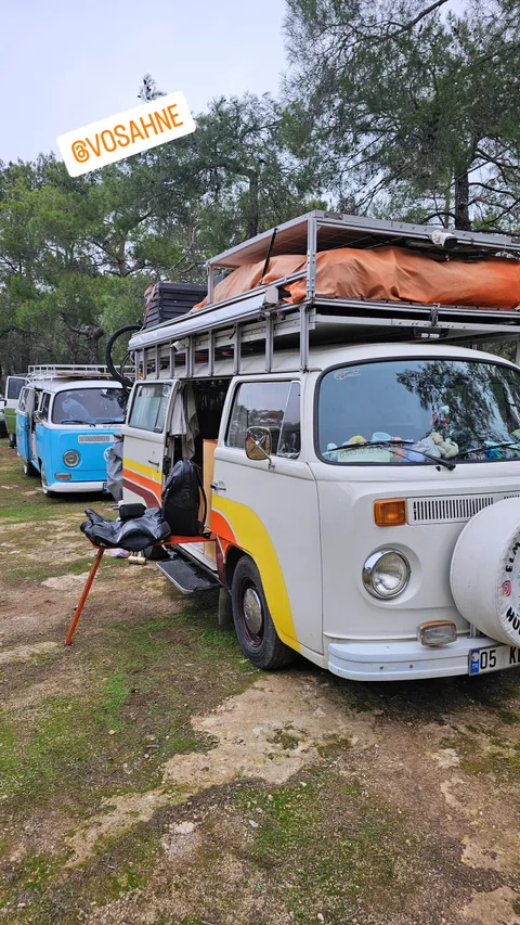 Kamp