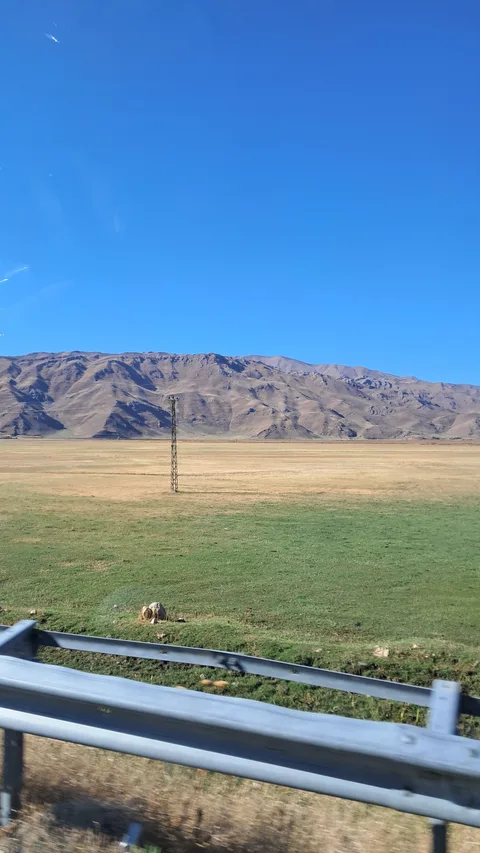 Şemdinli, Bağlar