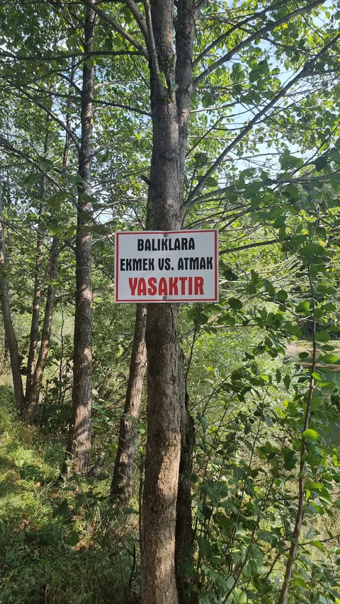 Artvin Şavşat Karagöl Milli Parkı