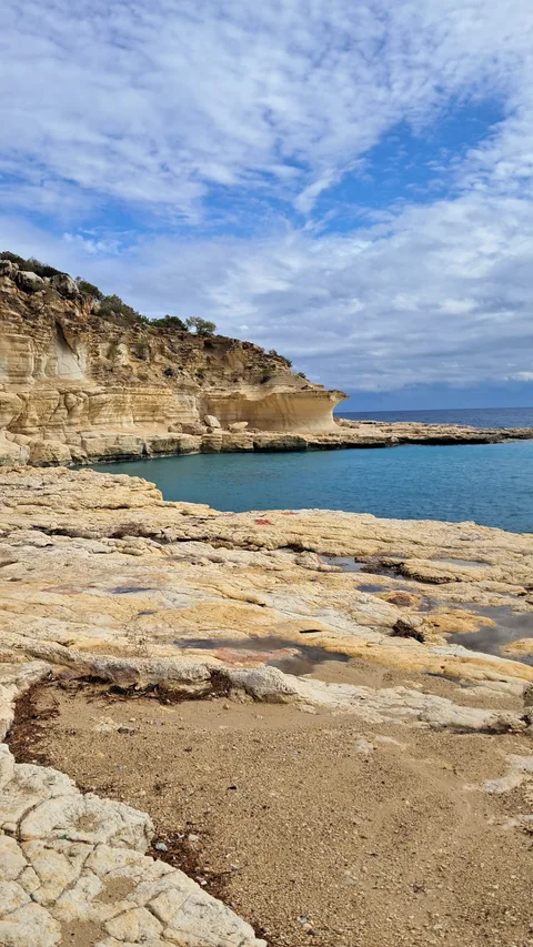 Tece/Mersin