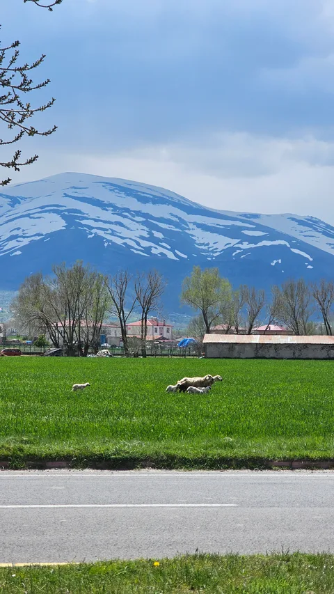 Çiftlik, Kula
