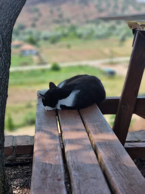 Sulakyurt