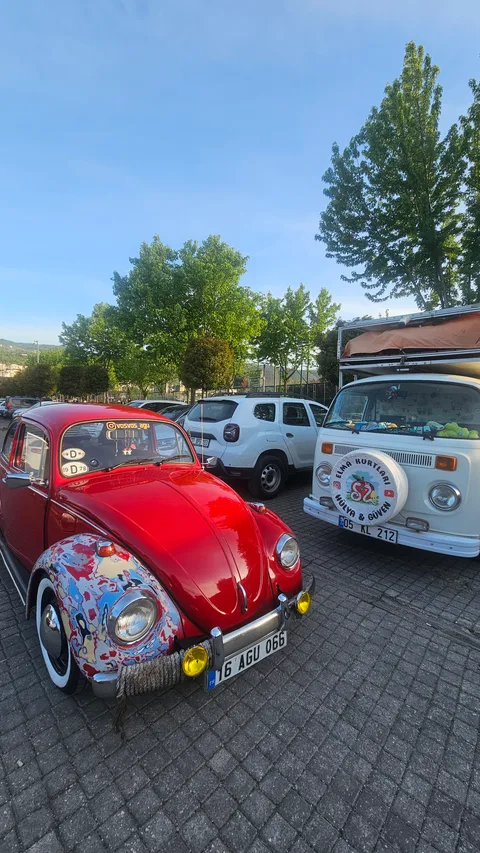Bursa