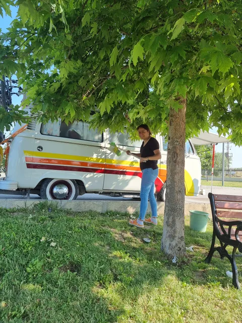 Peçenek Mesire Alanı