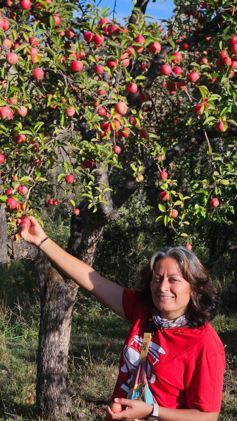 Akıncılar, Geyikpınar