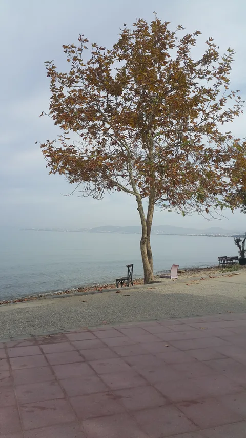 Sevgi palajı karavan kamp alanı