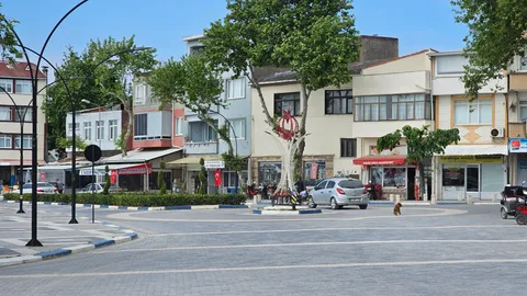 Çardak