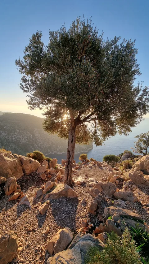 Fethiye, Faralya