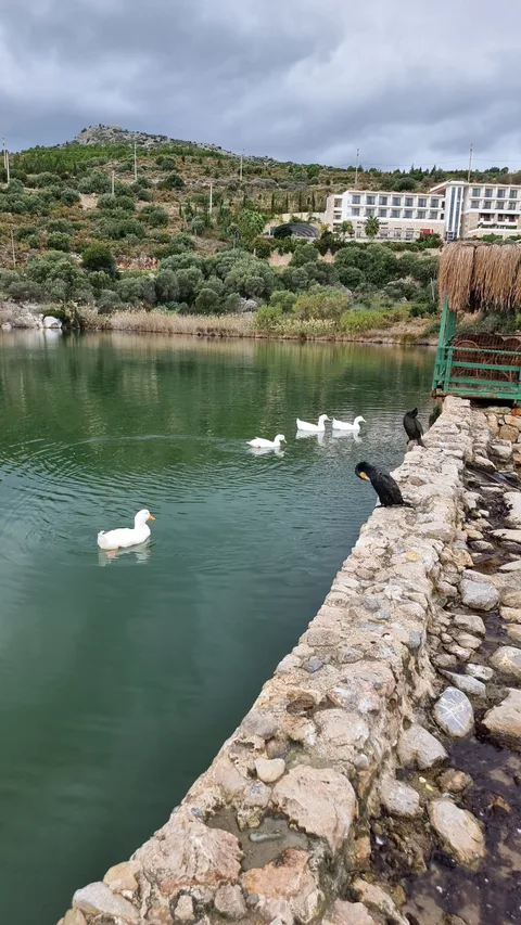 Taşlık Plajı Restaurant