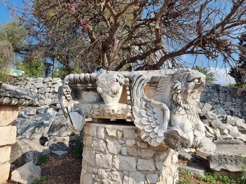 Didim, Hisar