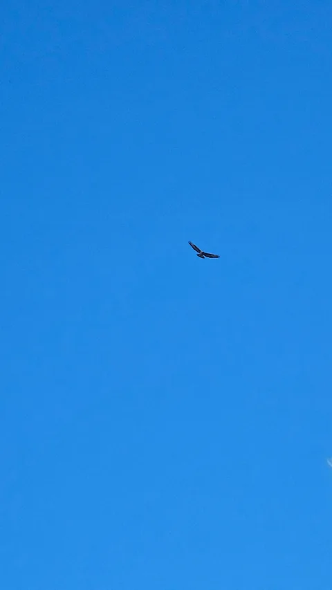 Milas, Kızılcakuyu