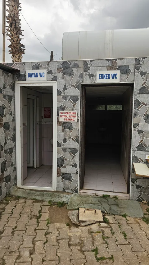 Mersin Erdemli Kocahasanlı