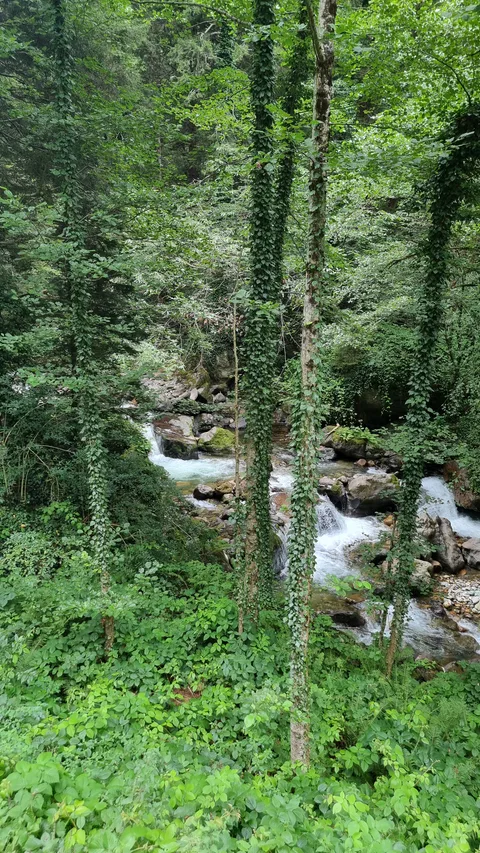 Altındere Vadisi Milli Parkı