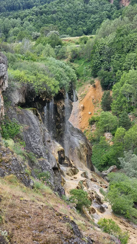 Doğanşar, Darıkol