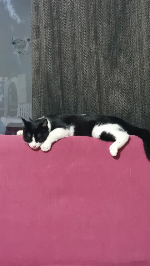 Finike, Saklısu
